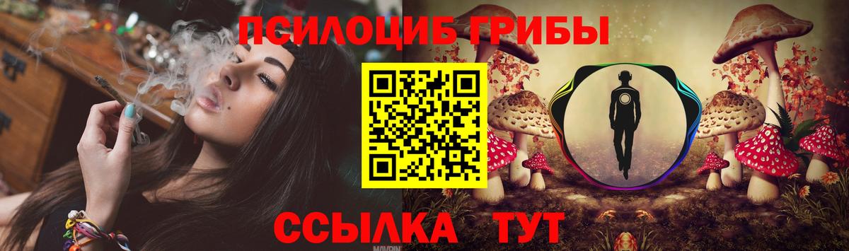 Псилоцибиновые грибы Psilocybine cubensis  Вход с VPN  Шахты 