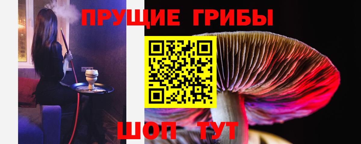 Псилоцибиновые грибы Psilocybine cubensis Шахты